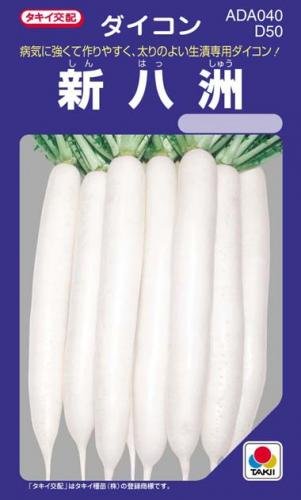 Amazon.co.jp: Daikon Seeds [Shinhachishu] Seed Small Bag (Approx